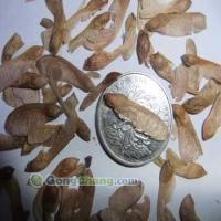 寧波榮達苗木場_世界工廠網全球企業庫