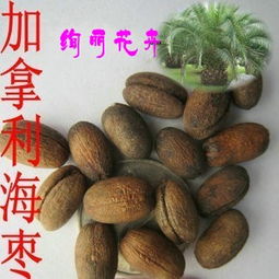 花卉種子 種苗產(chǎn)品列表 007商務站 全球網(wǎng)上貿(mào)易平臺 第89頁
